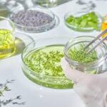 korean premium health food raw material supplier​