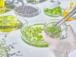 korean premium health food raw material supplier​