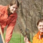 health threetrees com vn