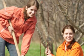 health threetrees com vn