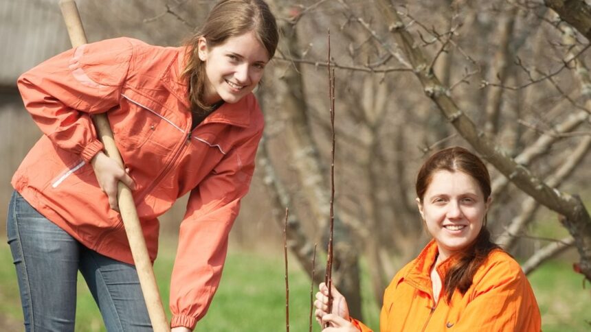 health threetrees com vn